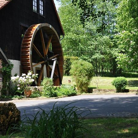 Landgasthof Geiersmuhle Ξενοδοχείο Vielbrunn Εξωτερικό φωτογραφία