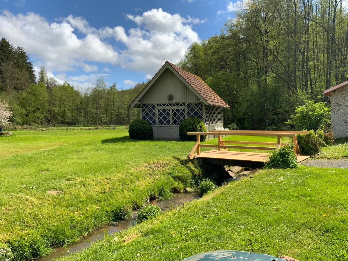 Landgasthof Geiersmuhle Ξενοδοχείο Vielbrunn Εξωτερικό φωτογραφία