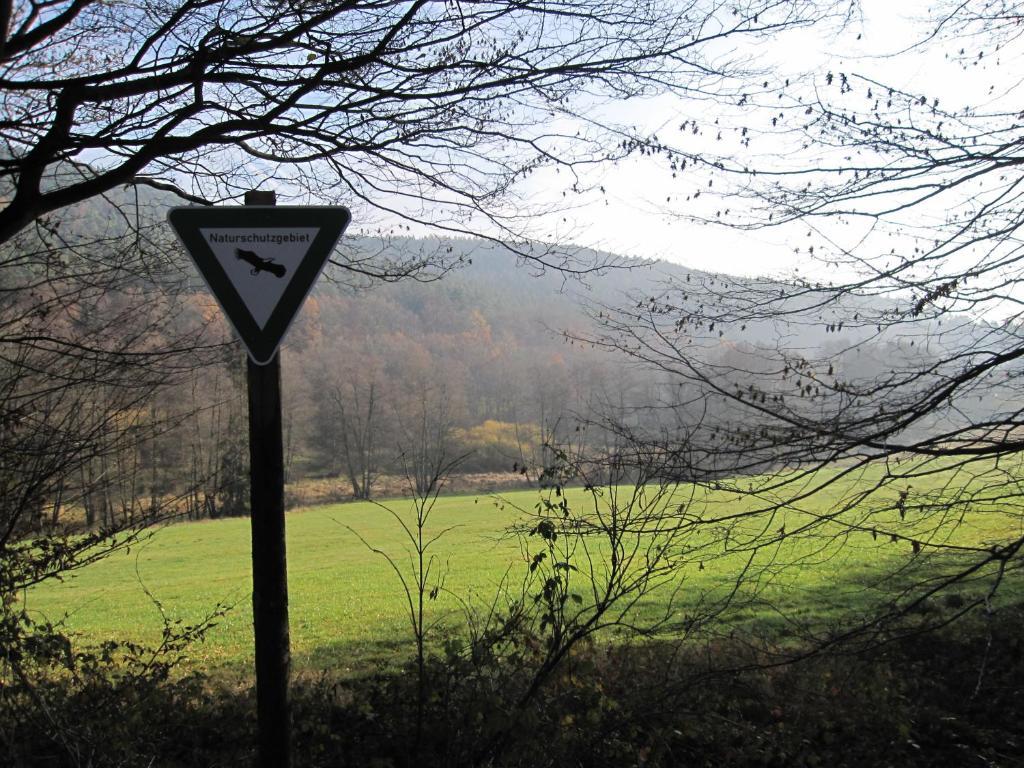 Landgasthof Geiersmuhle Ξενοδοχείο Vielbrunn Εξωτερικό φωτογραφία