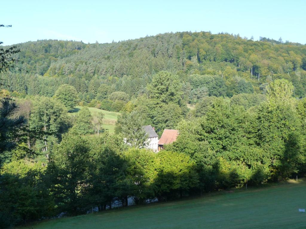 Landgasthof Geiersmuhle Ξενοδοχείο Vielbrunn Εξωτερικό φωτογραφία